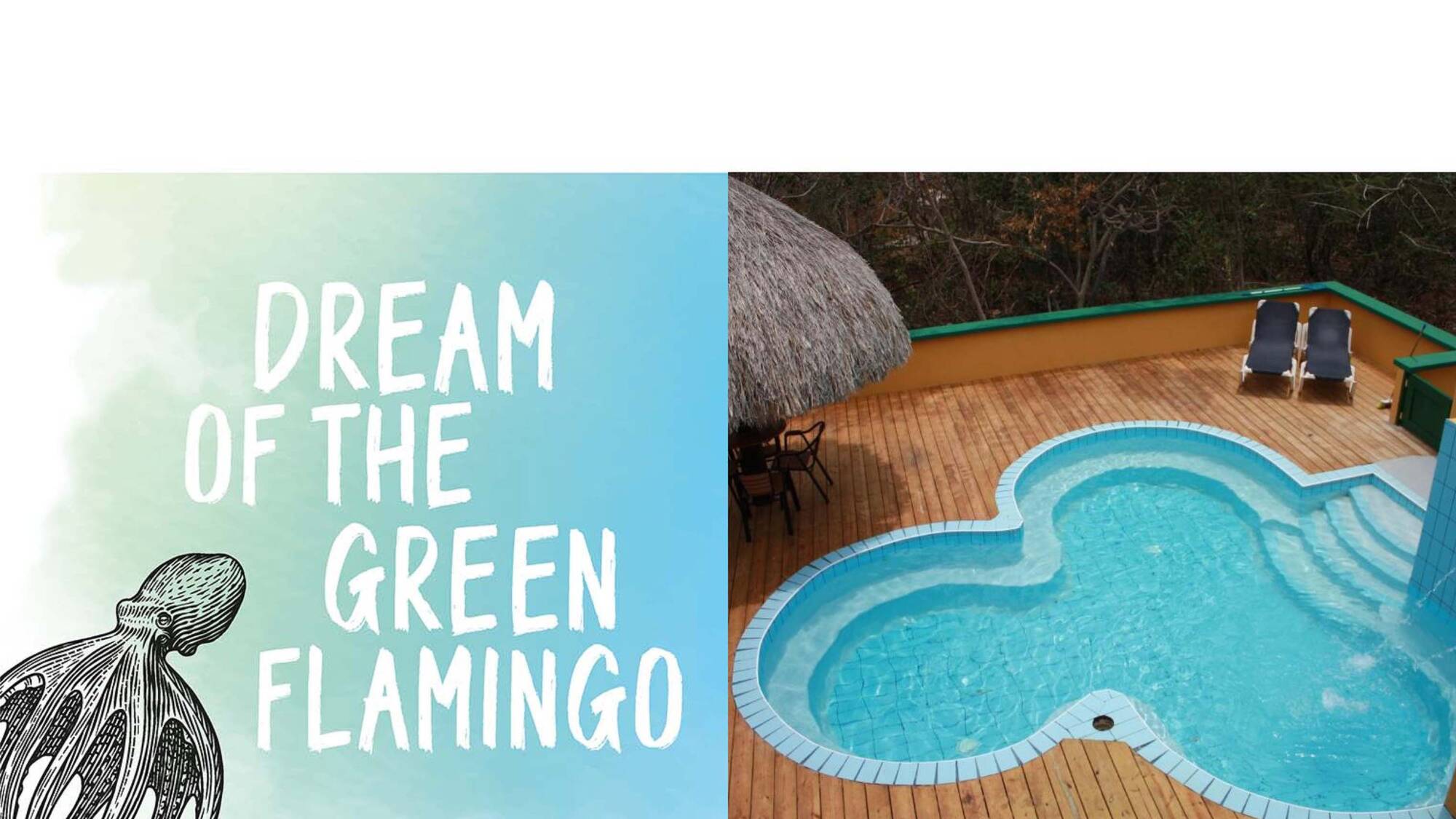 Dream of the Green Flamingo | Curacao Holiday Park - Whirlpool - Swimming pool