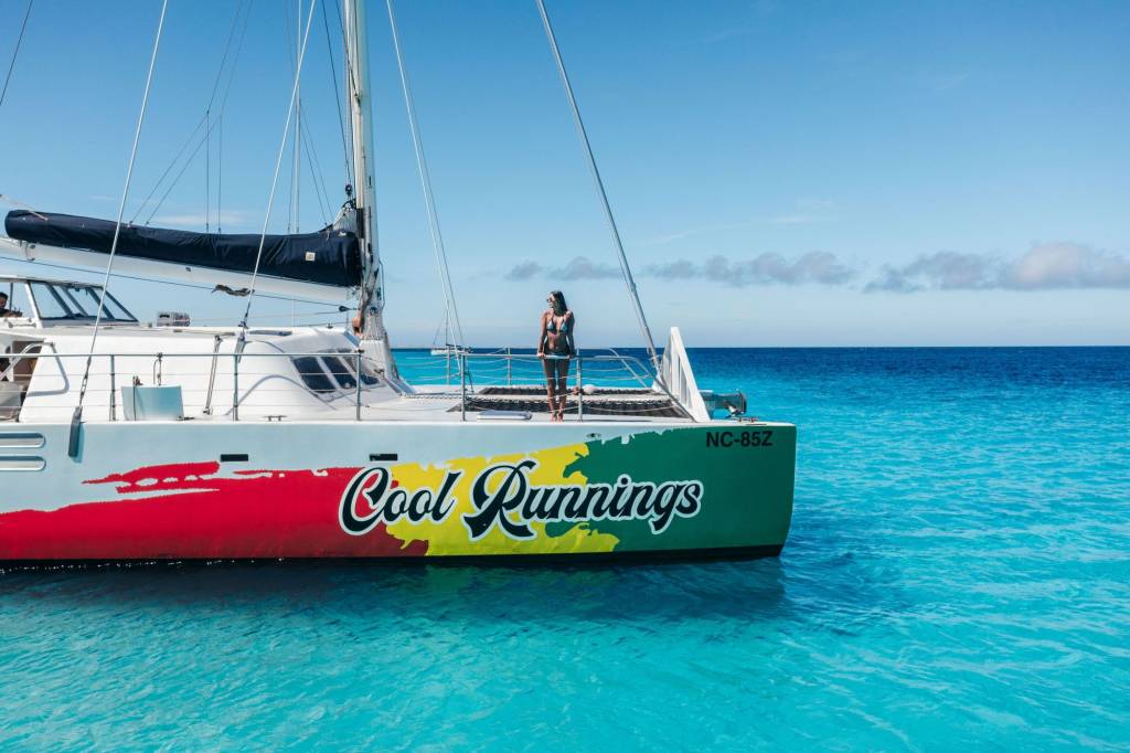 Dream of the Green Flamingo | Irie Tours