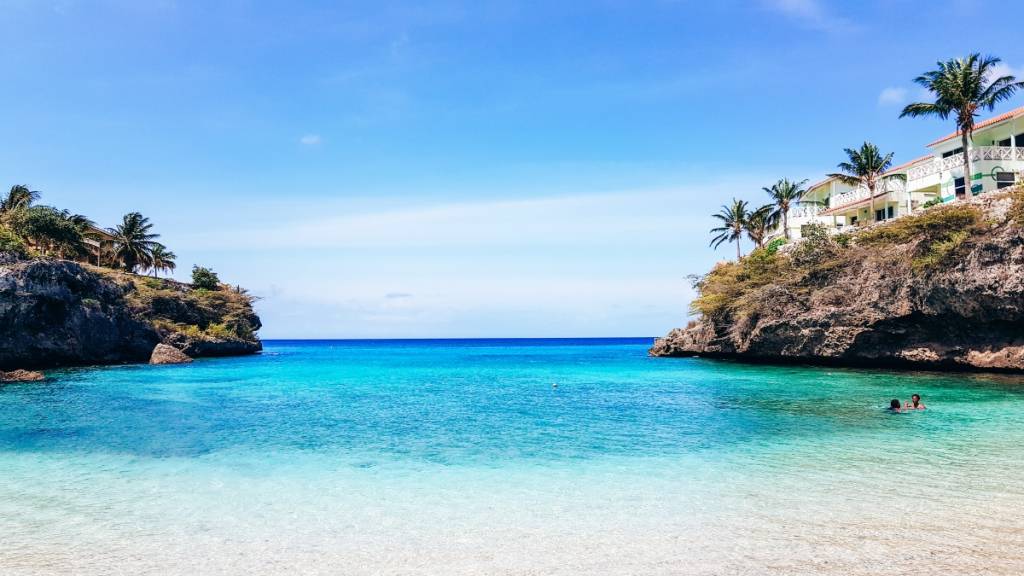 Dream of the Green Flamingo | Beach